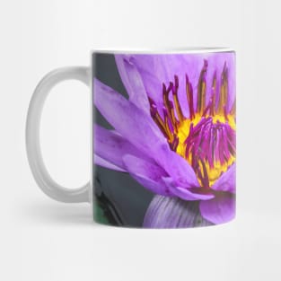 Purple Lily Pad Flower Photograph Mug